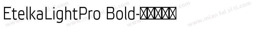 EtelkaLightPro Bold字体转换